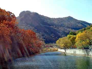 营山县最新地图全景概览